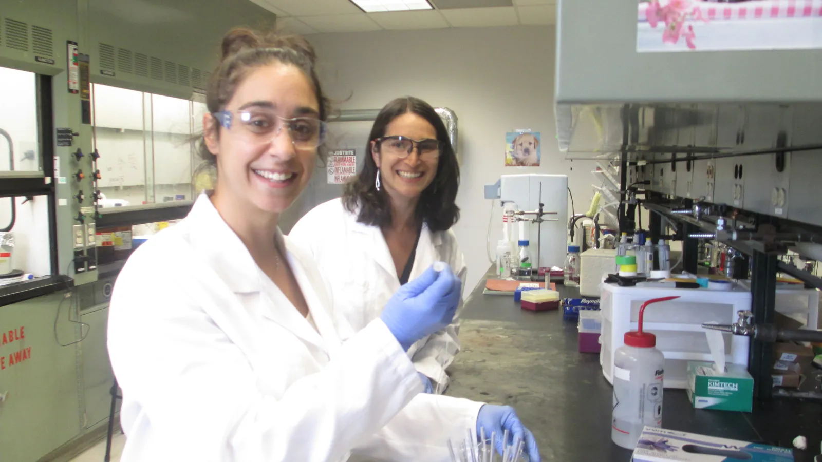 Members of OSBP in the lab